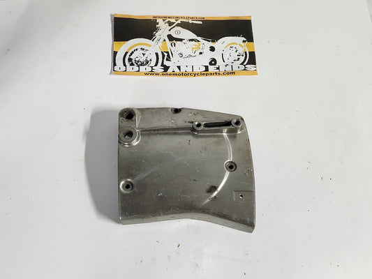 Sportster Sprocket Chain Guard